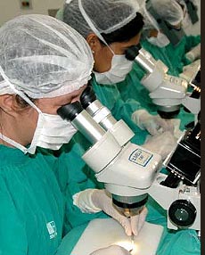 Microscópios - Equipe dividindo as unidades foliculares