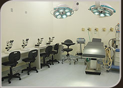 Foto Sala de Cirurgia do Centro de Implante de Cabelo Foto Sala de Cirurgia do Centro de Implante de Cabelo